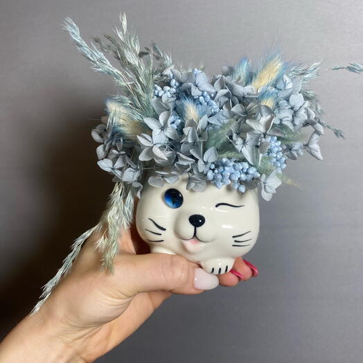 Композиция "Котик" Из сухоцветов и стабилизированных растений в голубых тонах