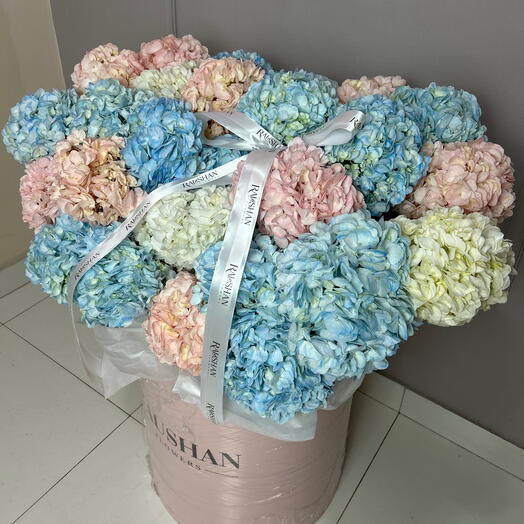 Огромная коробка пышных гортензии