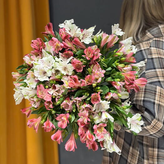 Охапка 25 стойких альстромерий🌸