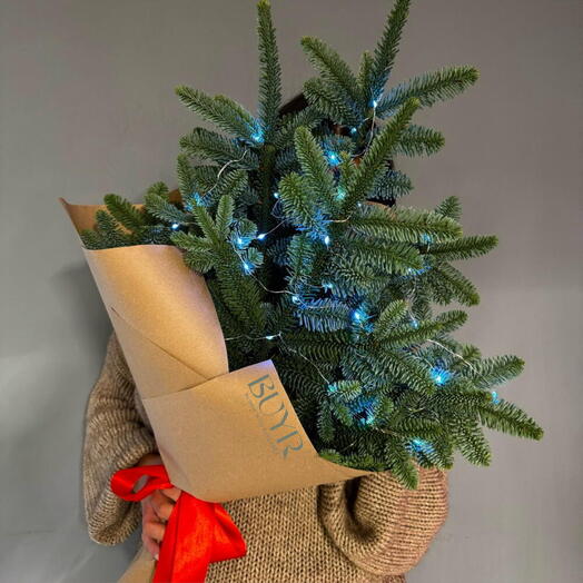 Букет из ели (нобилис)