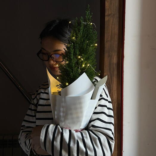 Ёлочка в кашпо