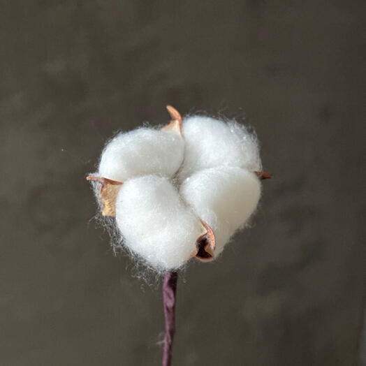 Искусственный хлопок