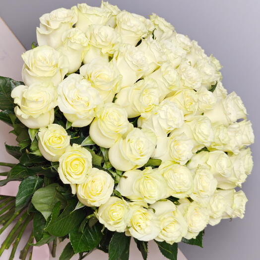 Белые розы букет 51 Роза, Эквадор Мондиаль 60 см