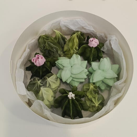 Кактусы из зефира в подарок 🎁