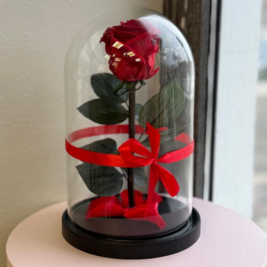 Rose in a premium flask