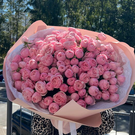 Сильва Пинк 51