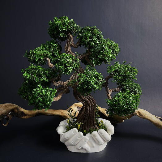 Большое дерево из стабилизированных мхов в стиле бонсай