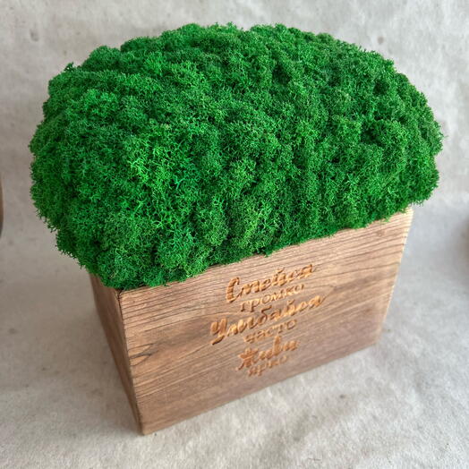 Decoración ecológica