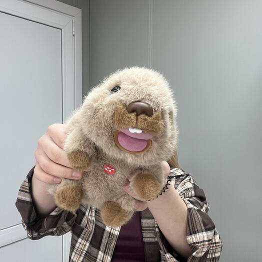 Бобр