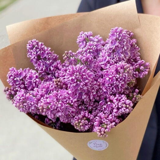 Сирень 🌸