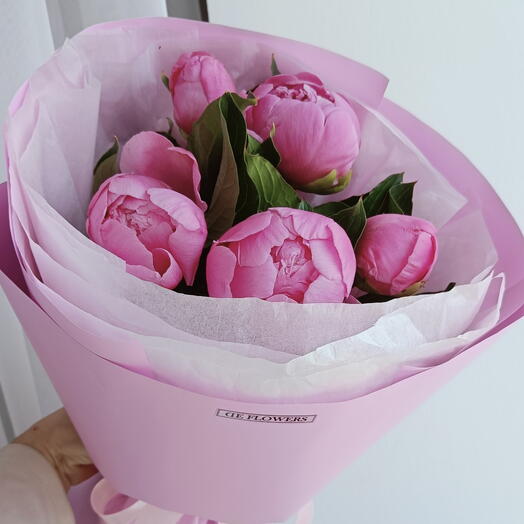 Пионы сиреневые🌸