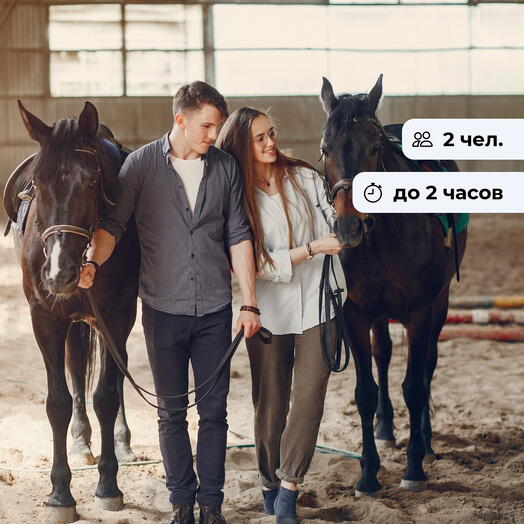 Лошадиные истории. Конная экскурсия в пгт. Дагомыс