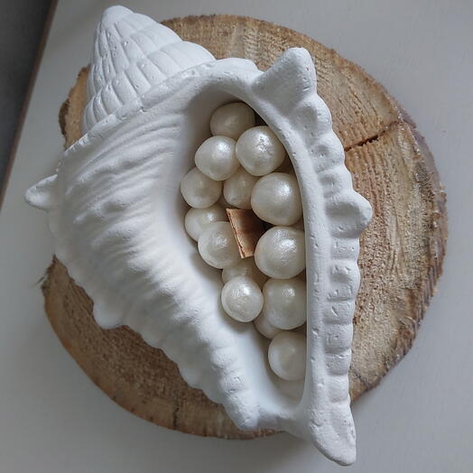 Свеча ракушка 🐚
