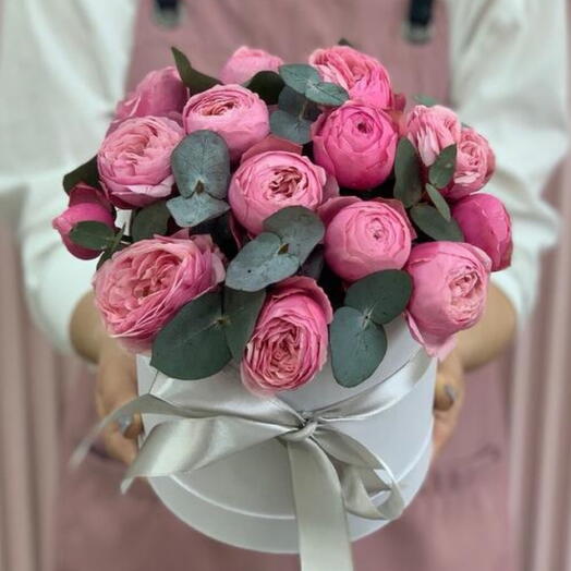 Flowers in a box - Silva Pink