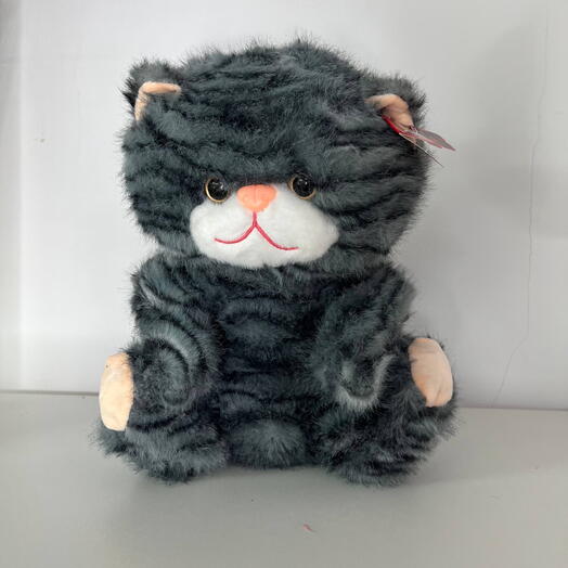 Котик