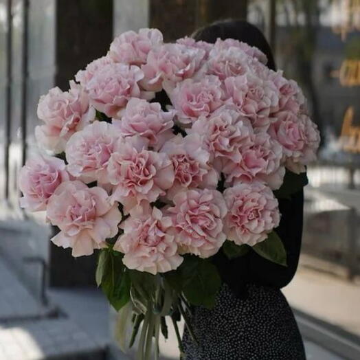 25 французских роз 💞