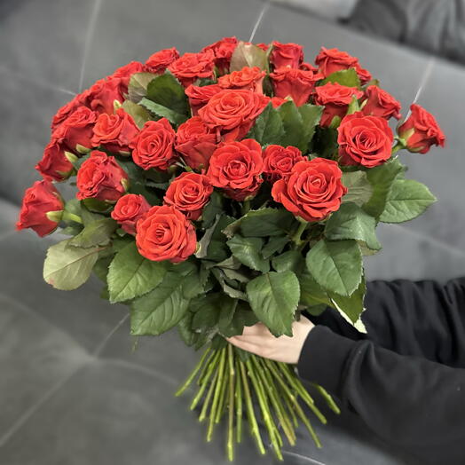 Роза Ажурная Эльторо 51