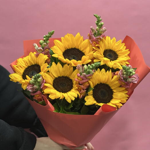 восходы солнца🌞🌻