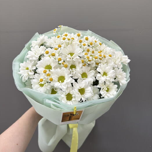 Ромашковая долина