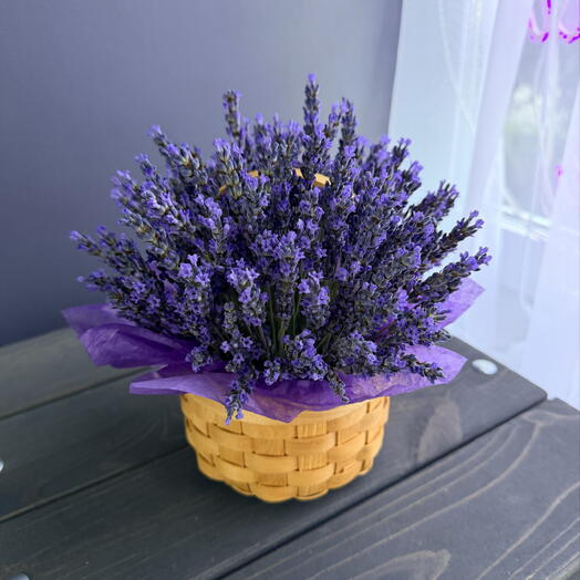 Лаванда 💜