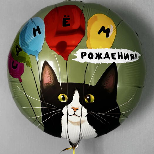 Шарик с котом