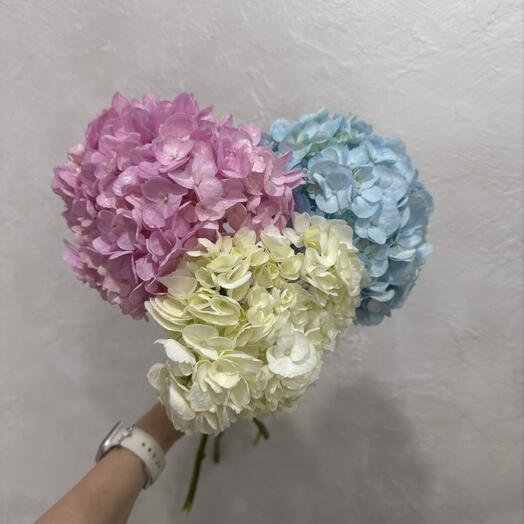Букет из гортензии микс  🌸