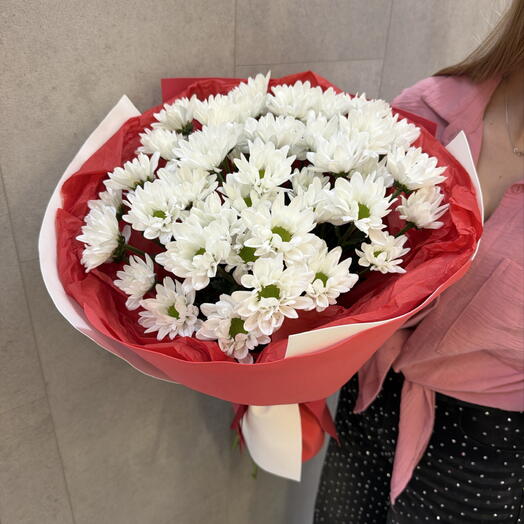 Букет из ромашковой хризы бело красная