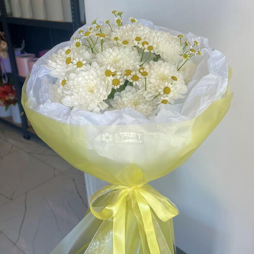 Ромашки (2)