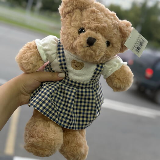Мишка в синем платье