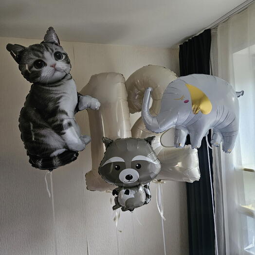 Шары котенок,котик,кошка,енот,слоник на 12 лет девочки,мальчика,сына,дочки- 5шаров