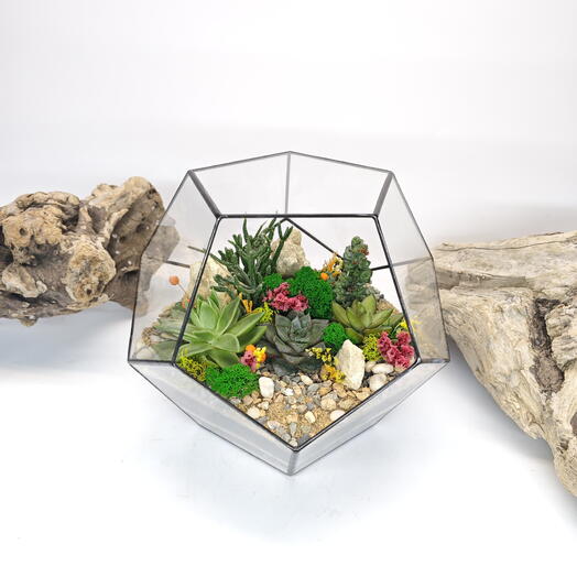 Florarium with succulents "Lesnaya polyana" Dodecahedron 22 cm