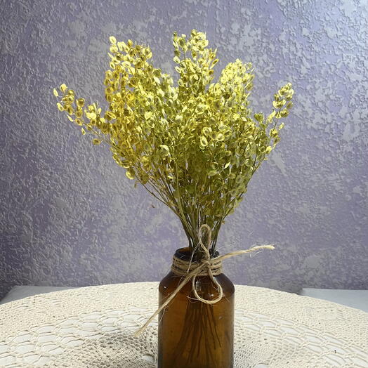 Монетник (сухоцвет)