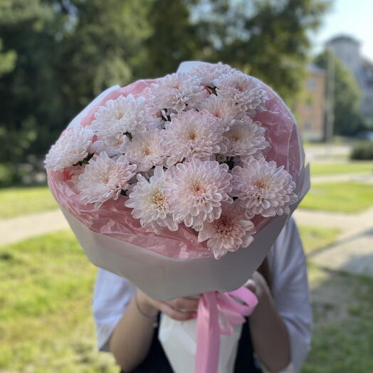 Букет розовых хризантем
