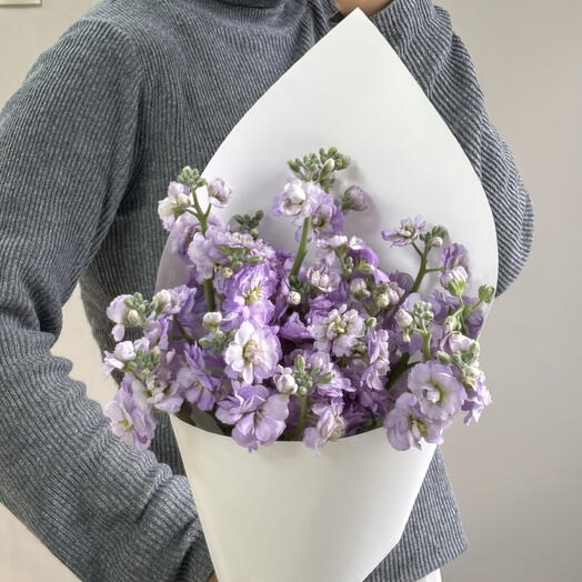 Кулек для дома