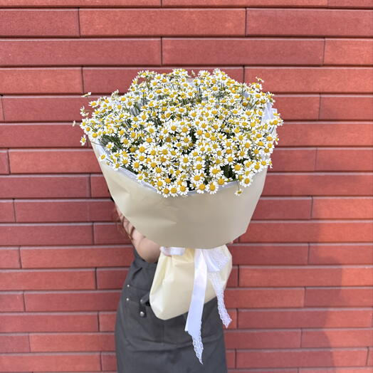 Ромашковое поле / ромашки 15 шт в упаковке 🌼