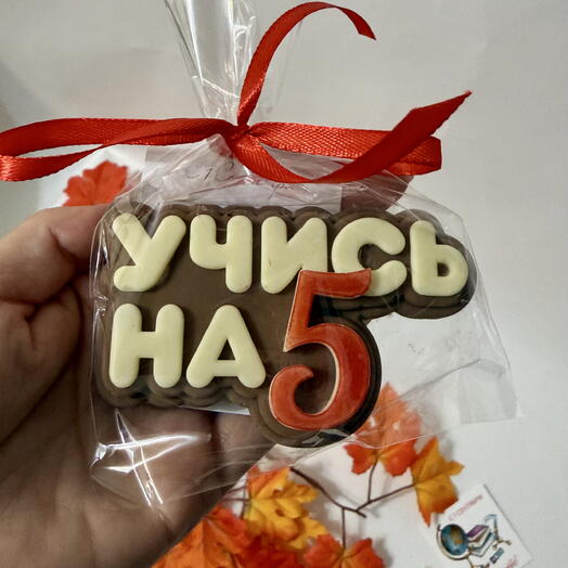 Фигурка из шоколада «Учись на 5»