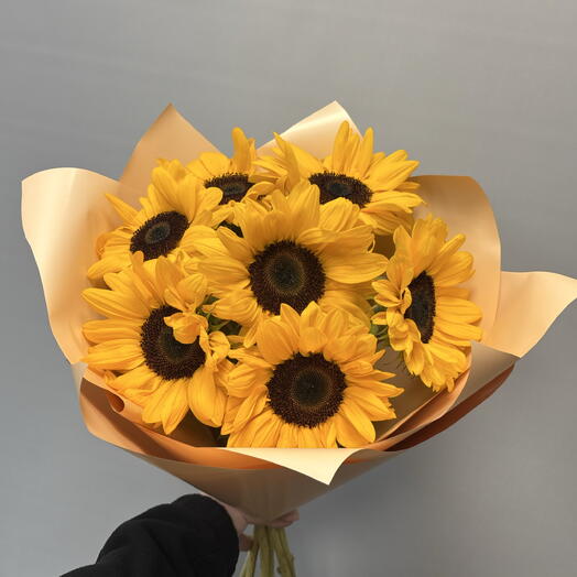 🌻 подсолнухи