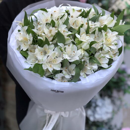 🤍🤍🤍 Монобукет с белой Альстромерией 15шт