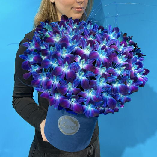 Цветы в коробке космос из орхидей. Композиция 609. Leoraflowers