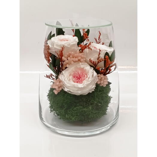 Натуральные пионы в стекле, вакуум (RF2.5550we)