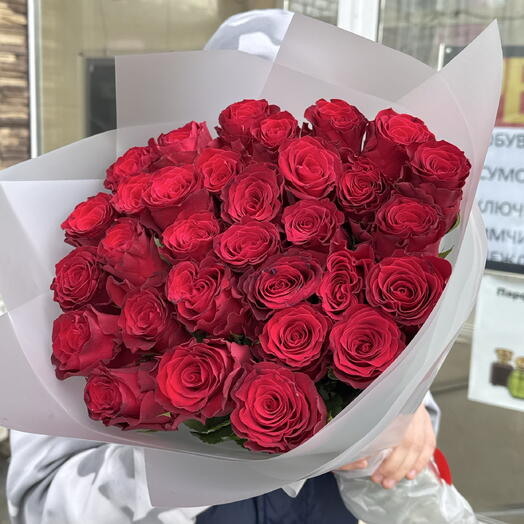 Крупная Роза бордовая