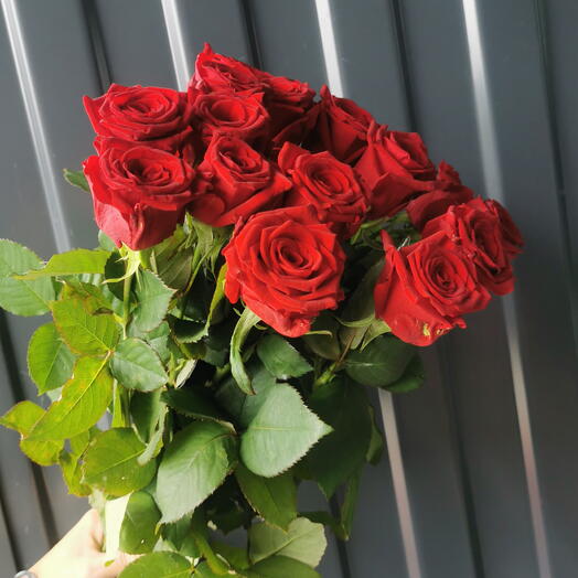 Ред Наоми 15🌹