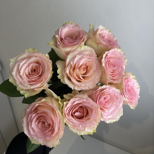 Розы нежные 🌸9