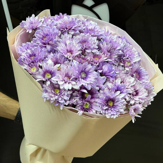 Maison Violette 💜
