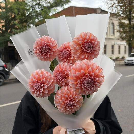 Монобукет из георгин от XOFLOWERS