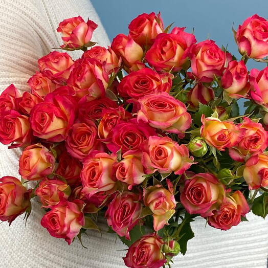 Пачка роза кустовая «Саммер дэнс»,10 шт