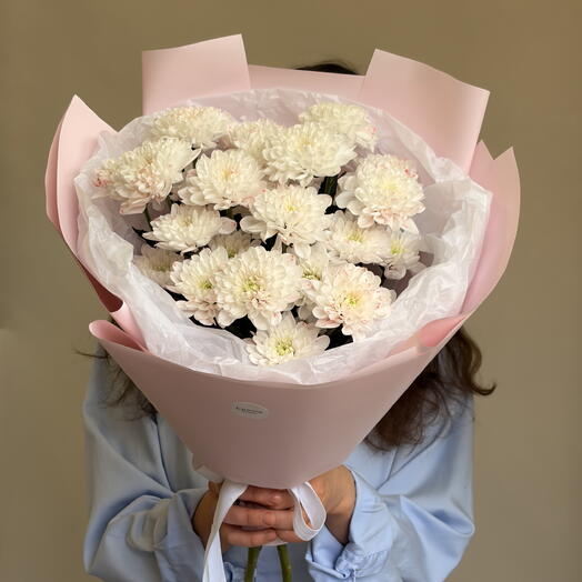 Розовая хризантема Алтай 🌸