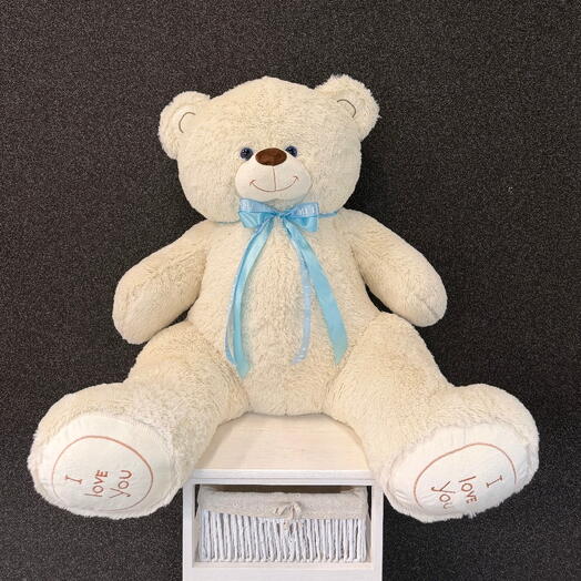 The big bear cub