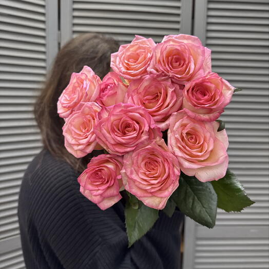 Роза Россия по ленту🎀