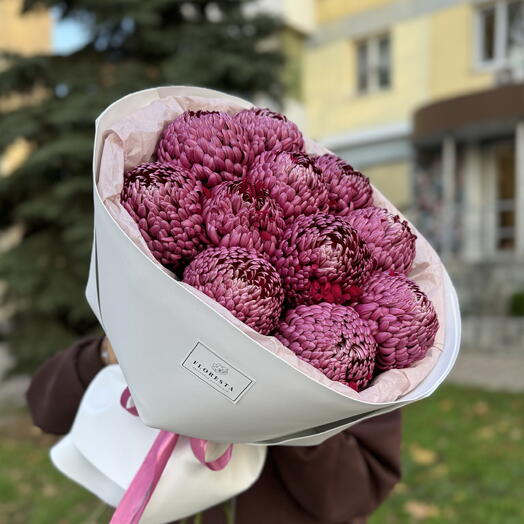 Букет из 11 хризантем Бигуди Purple